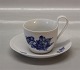 item no:
171580 item no:
171580