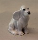 latest
new item latest
new item