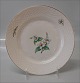 item no:
54300 item no:
54300