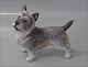 item no:
54490 item no:
54490