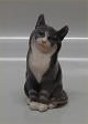 item no:
55873 item no:
55873