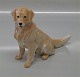 item no:
56256 item no:
56256