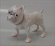 item no:
56762 item no:
56762