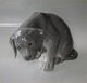 item no:
57347 item no:
57347