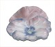 item no:
59724 item no:
59724