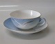 item no:
72448 item no:
72448