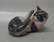 item no:
77110 item no:
77110