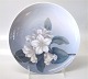 item no:
77969 item no:
77969