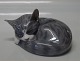 item no:
81022 item no:
81022