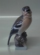 latest
new item latest
new item