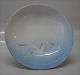 item no:
102541 item no:
102541