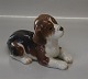 Royal Copenhagen figurine 
0564 RC Beagle lying 11 x 16 cm B&G 2565