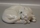 B&G Figurine
 B&G 1834 Cat curled 20 cm
