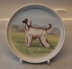 latest
new item latest
new item