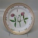 item no:
57756 item no:
57756
