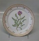 item no:
57764 item no:
57764