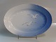 item no:
70798 item no:
70798
