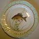 item no:
73067 item no:
73067
