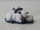 item no:
73316 item no:
73316