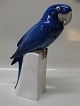 Royal Copenhagen figurine 503 RC Blue Ara Armand Petersen 41 cm  (B&G 2235 )
