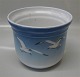 item no:
77192 item no:
77192