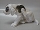 item no:
77215 item no:
77215