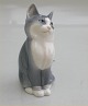 item no:
96954 item no:
96954