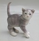 item no:
96959 item no:
96959
