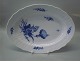 item no:
99242 item no:
99242