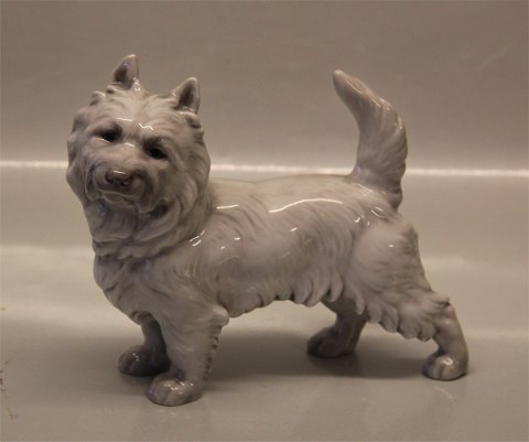 B&G Dog Figurine B&G 2073 Cairn terrier  16 x 16 cm LJ ?
