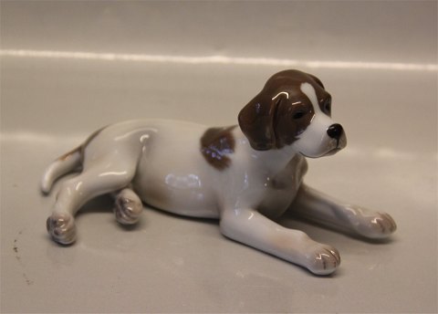 Royal Copenhagen figurine 0679 RC Pointer Puppy 8.5 x 18 cm New # 1249679