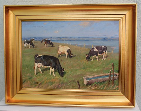 Gunnar Bundgaard Maleri Køer på græs ved fjord 56 x 72 cm