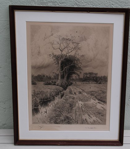 Radering Peder Mønsted 1900 Landskab Prøvetryk nr 2   53 x 42.5 cm inklusiv 
træramme