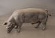 Royal Copenhagen figurine 
4561 RC Boar Feeding 19 x 40 cm Helen Schou