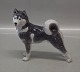 Royal Copenhagen figurine 
0353 RC Husky/Spitz 1244 0038 Greenland Dog 14 x 16 cm