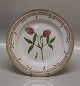 Flora Danica Danish Porcelain 20-3549 Traditional Dinner Plate: Trifolium 
alpestre Müll . New # 624 10" (From the year 1969)
