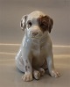 B&G Figurine B&G 1753 Pointer Puppy sitting 19 x 24 cm
