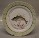 919-1710 Fish: whiting or merling, "Gadus Merlangus" 25.5 cm Royal Copenhagen 
Fish Plate with Green Border
.