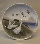 Royal Copenhagen Bird plate 1508-1125 Plate geese 25 cm