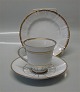 B&G Offenbach Porcelain 102 Coffee Cup and saucer (305)